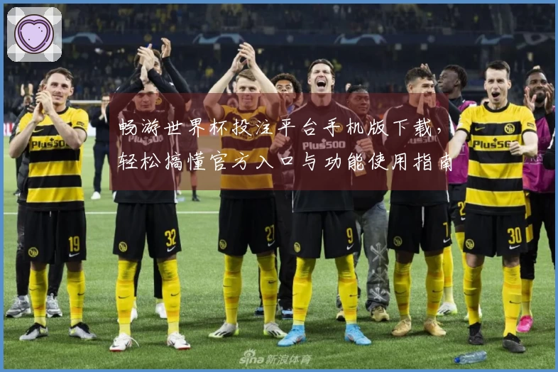 畅游世界杯投注平台手机版下载，轻松搞懂官方入口与功能使用指南