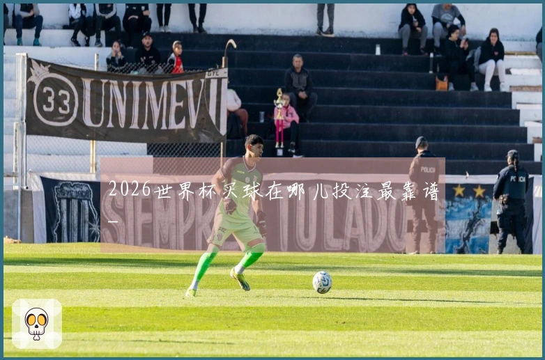 2026世界杯买球在哪儿投注最靠谱-