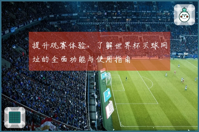 提升观赛体验，了解世界杯买球网址的全面功能与使用指南