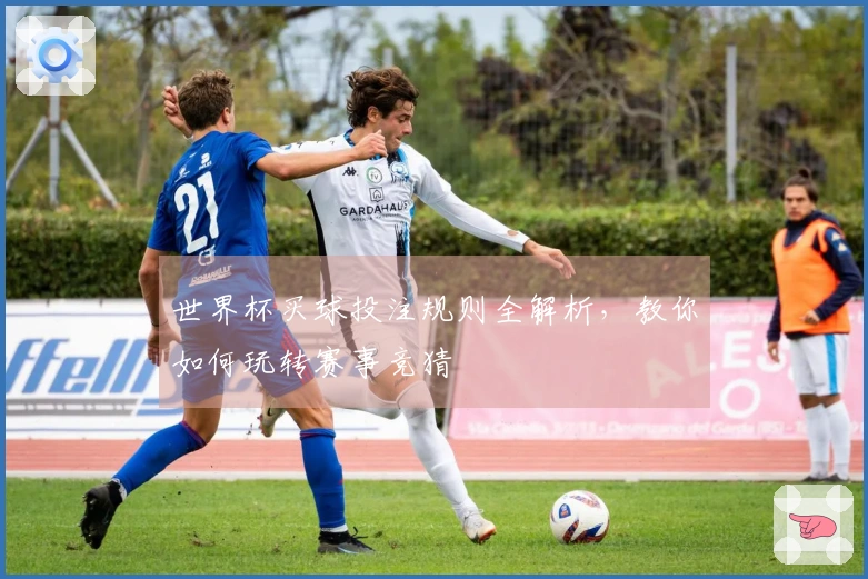世界杯买球投注规则全解析，教你如何玩转赛事竞猜