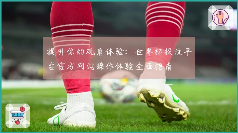 提升你的观看体验：世界杯投注平台官方网站操作体验全面指南