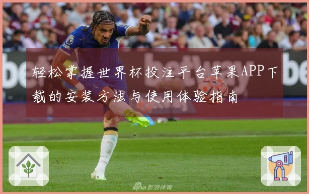 轻松掌握世界杯投注平台苹果APP下载的安装方法与使用体验指南