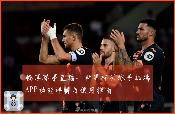 畅享赛事直播，世界杯买球手机端APP功能详解与使用指南