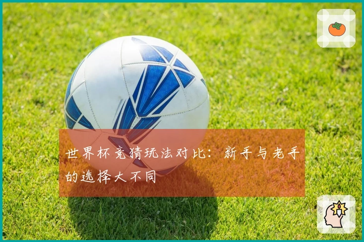 世界杯竞猜玩法对比：新手与老手的选择大不同