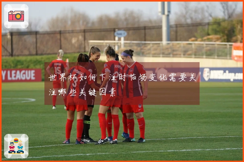世界杯如何下注时临场变化需要关注哪些关键因素