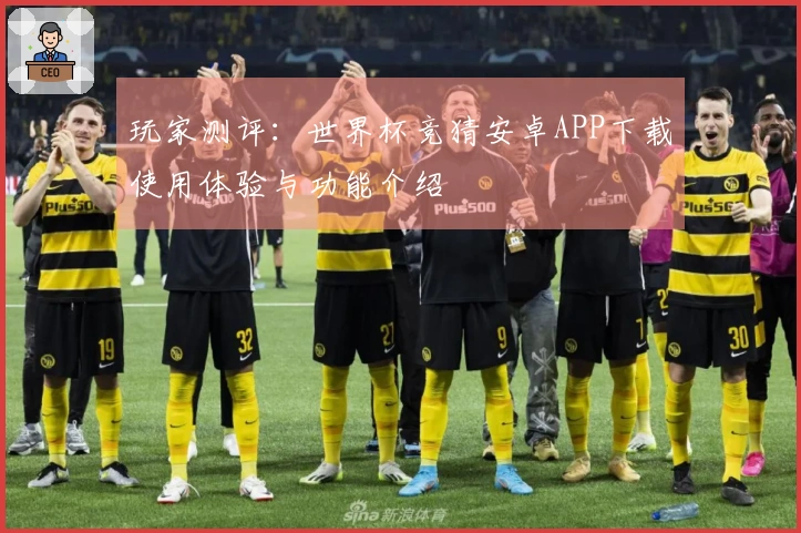 玩家测评：世界杯竞猜安卓APP下载使用体验与功能介绍