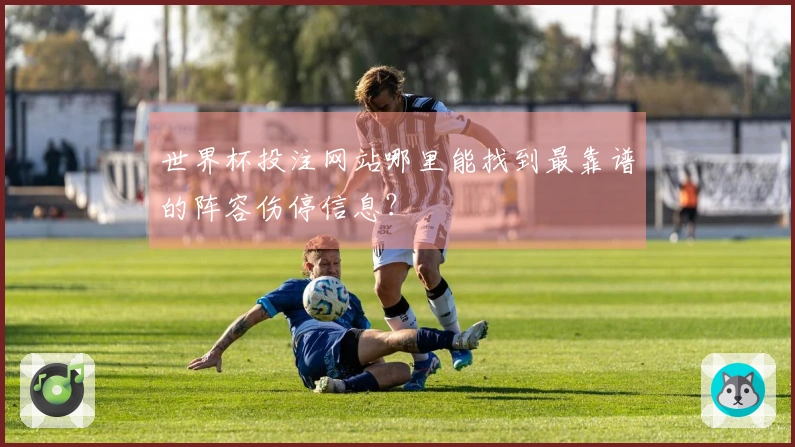 世界杯投注网站哪里能找到最靠谱的阵容伤停信息？