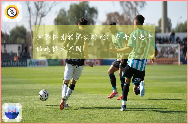 世界杯竞猜玩法对比：新手与老手的选择大不同