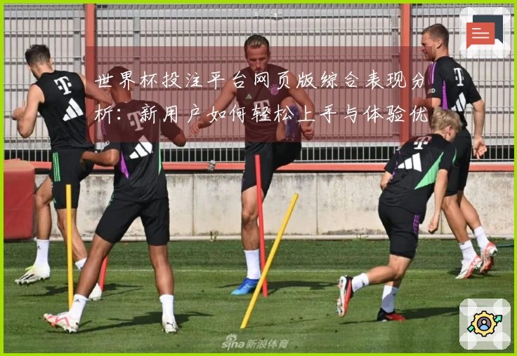 世界杯投注平台网页版综合表现分析：新用户如何轻松上手与体验优化建议