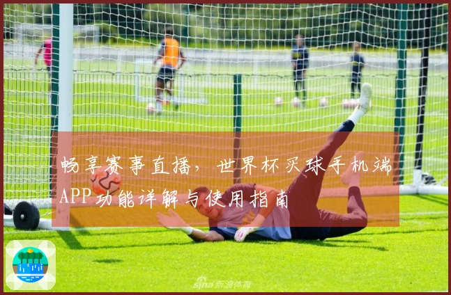 畅享赛事直播，世界杯买球手机端APP功能详解与使用指南