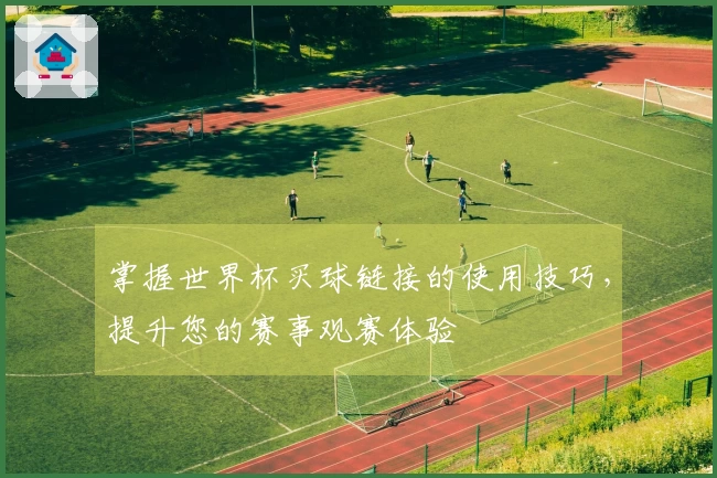 掌握世界杯买球链接的使用技巧，提升您的赛事观赛体验