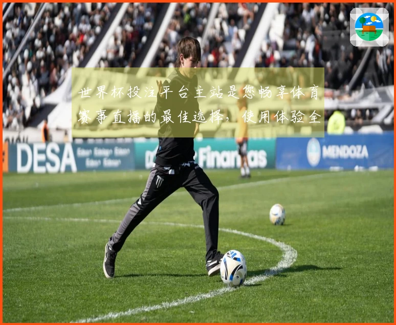 世界杯投注平台主站是您畅享体育赛事直播的最佳选择，使用体验全面评测与推荐