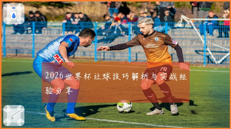 2026世界杯让球技巧解析与实战经验分享