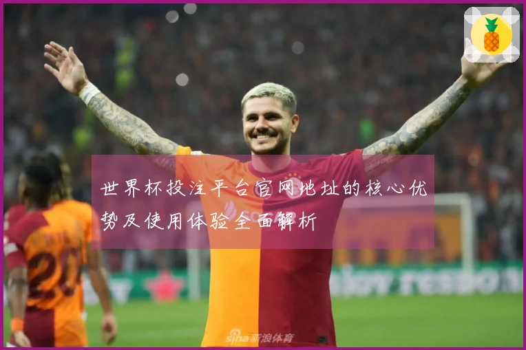 世界杯投注平台官网地址的核心优势及使用体验全面解析