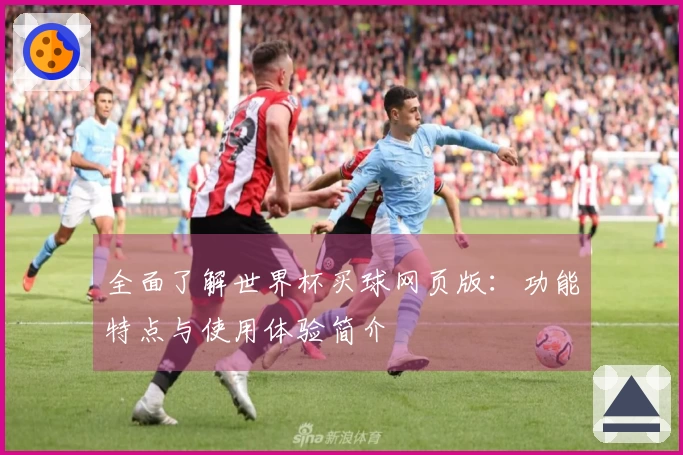 全面了解世界杯买球网页版：功能特点与使用体验简介